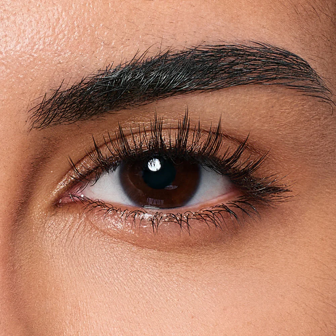 Lash Magnetic