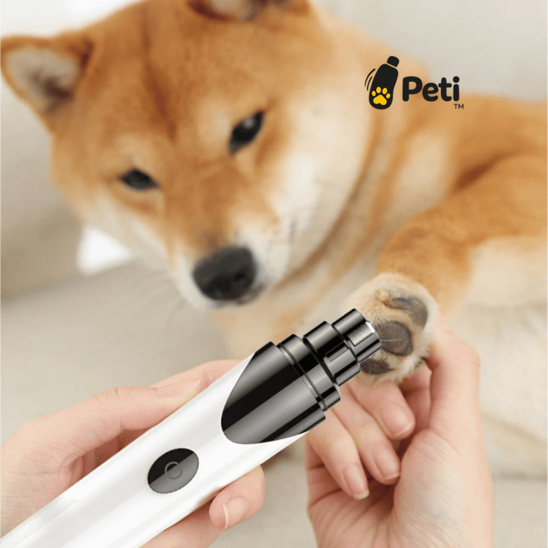 Peti