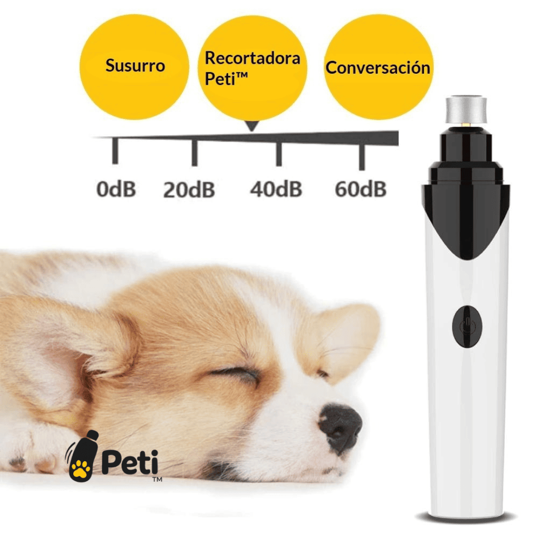 Peti