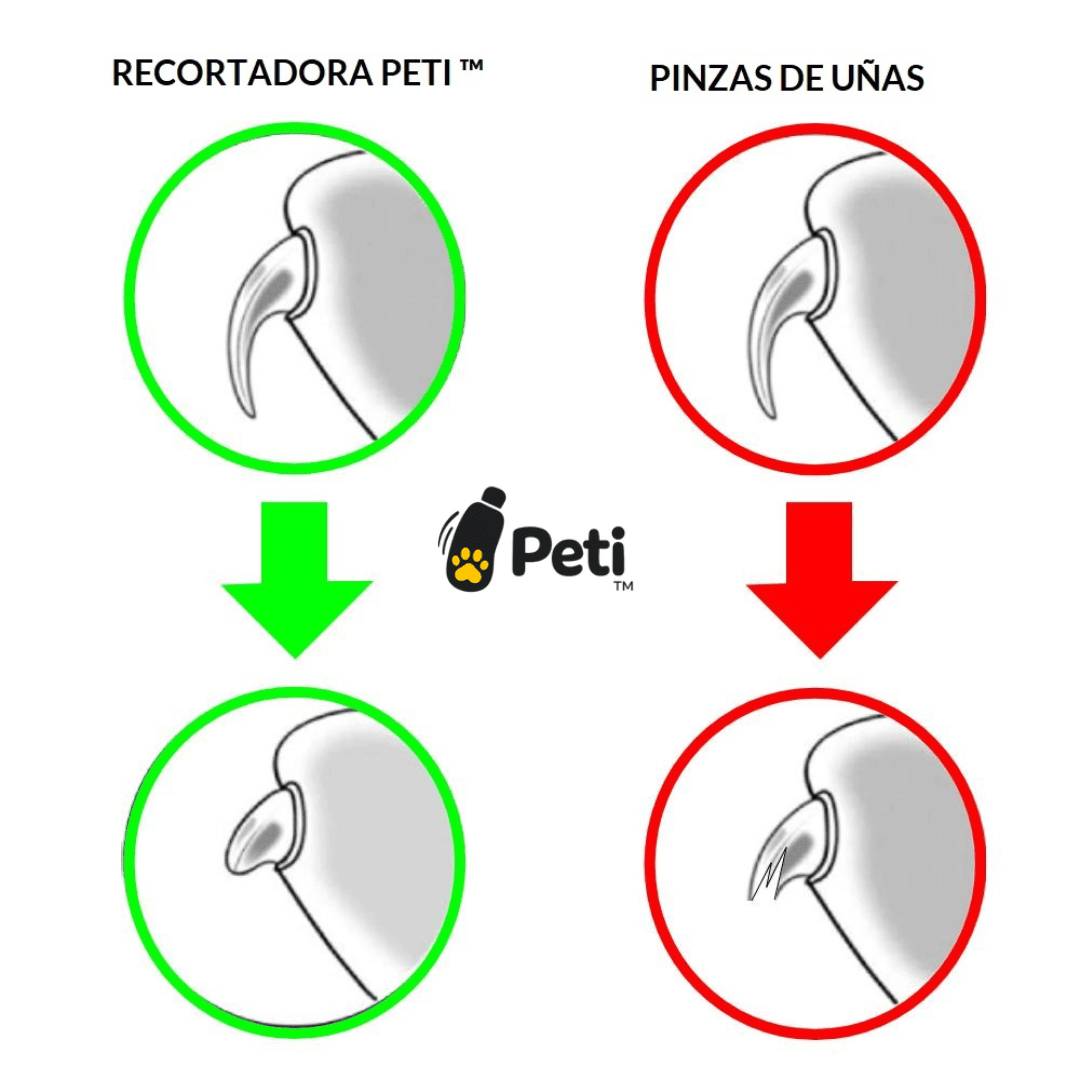 Peti