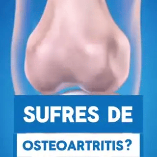 Artiflex
