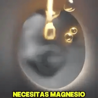 Magnesio